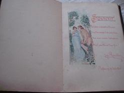 Poesie-Album der Anna Martinschitz 1895