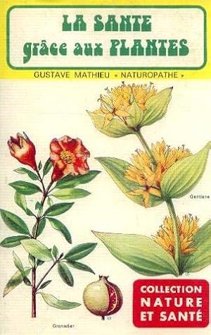 La santé grace aux plantes