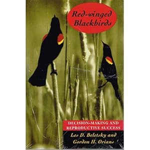 Image du vendeur pour Red-Winged Blackbirds : Decision-Making and Reproductive Success mis en vente par Buteo Books