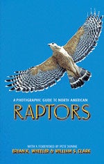 Immagine del venditore per A Photographic Guide to North American Raptors venduto da Buteo Books