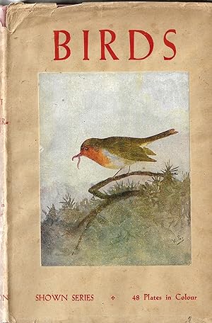 Seller image for Birds for sale by Matilda Mary's Books
