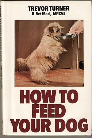 How to Feed Your Dog