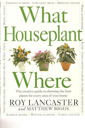 What Houseplant Where