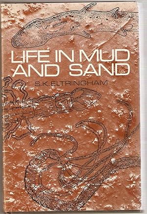 Life in Mud and Sand