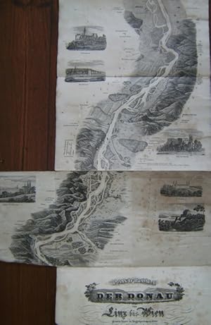 Seller image for Panorama der Donau von Linz bis Wien, gezeichnet in Vogelperspective. for sale by Antiquariat Weinek