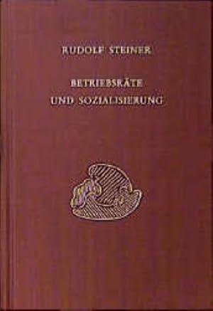 Seller image for Betriebsrte und Sozialisierung for sale by Rheinberg-Buch Andreas Meier eK