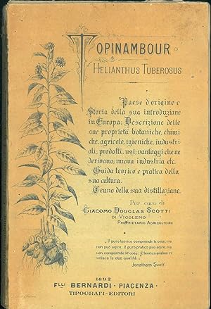 Bild des Verkufers fr Topinambour : Helianthus Tuberosus zum Verkauf von Studio Bibliografico Orfeo (ALAI - ILAB)