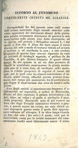 Intorno al fenomeno comunemente creduto del girasole