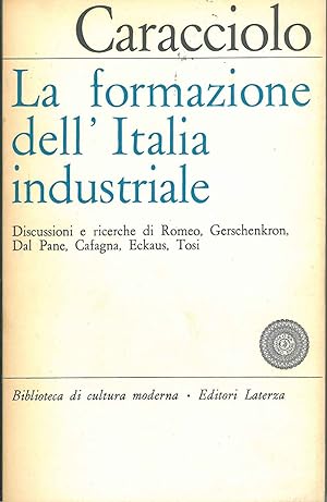 La formazione dell'Italia industriale. Discussioni e ricerche