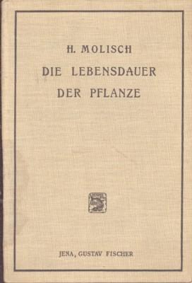 Die Lebensdauer der Pflanze.