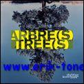 Bild des Verkäufers für Arbre(s) / Tree(s) zum Verkauf von BOOKSELLER  -  ERIK TONEN  BOOKS