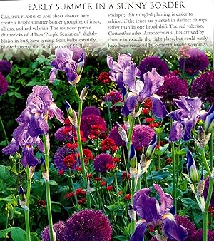 Bild des Verkufers fr Encyclopedia of perennials. [What are perennials? ; Perennials in the Garden ; Beds and Borders ; Naturalistic planting styles; Using the A-Z Dictionary ; How Plants are named; Hardiness in perennials; The A-Z Directory of Perennials; Index of Common Names; Potentially harmful perennials zum Verkauf von Joseph Valles - Books