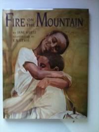 Immagine del venditore per Fire on the Mountain venduto da WellRead Books A.B.A.A.