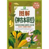 Immagine del venditore per Chinese household essential tool: Graphic Shen Nong's Herbal Classic (premium full-color Platinum Edition)(Chinese Edition) venduto da liu xing