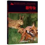 Immagine del venditore per Black stork animal literature series Pupils America Illustrated: female hare(Chinese Edition) venduto da liu xing