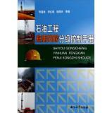 Imagen del vendedor de Petroleum Engineering hidden risk classification Control Manual(Chinese Edition) a la venta por liu xing