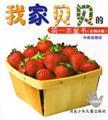 Image du vendeur pour Fruits and vegetables my first book of children's books at home babe (Figure recognize objects)(Chinese Edition) mis en vente par liu xing