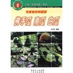 Seller image for Experts teach you the kinds of vegetables - chayote squash white melon - Guangdong Farm House series(Chinese Edition) for sale by liu xing