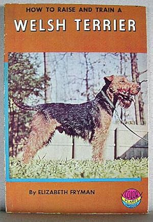 HOW TO RAISE AND TRAIN A WELSH TERRIER