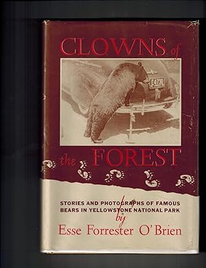 Clowns of the Forest