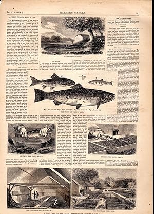 Seller image for ENGRAVING:'A Fish Farm in New Jersey'. text & engravings from Harper's Weekly, June 13, 1868 for sale by Dorley House Books, Inc.