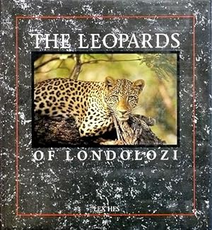 Seller image for The Leopards of Londolozi. for sale by Antiquariat Lenzen
