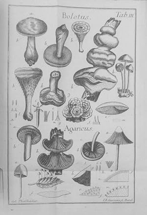 Bild des Verkufers fr Methodus Fungorum exhibens genera, species et varietates cum charactere, differentia specifica, synonomis, solo, loco et observationibus. Berlin, scholae realis 1753. 8. 162 S. 18 Bll. (Index) mit 6 (gef.) Kupfertafeln, Ldr. d. Zt. mit Rsch. zum Verkauf von Antiquariat Johannes Mller