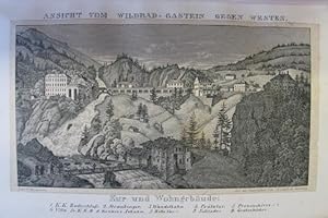 Bild des Verkufers fr Die warmen Quellen zu Gastein. Ein Beitrag zur nheren Kenntnis der Heilkrfte dieses Alpenbades. Salzburg, F. X. Duyle (A. Lindig) 1844. 8. XIV, 1 Bl., 288 S., mit 2 getnten lithogr. Tafeln, Goldschn., gepr. Pbd. d. Zt. zum Verkauf von Antiquariat Johannes Mller