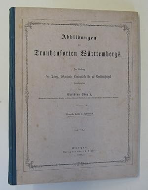 Ebner & Seubert 1860. 4°. VI., 1 Bl., 96 S., mit 19 (2 doppelblattgr.) chromolithogr. Tafeln, OHlwd.