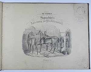 Anleitung zur Pferdekenntniß. Tafelband. Königsberg, Borntraeger 1851. Quer 4°. Mit lithogr. Tite...