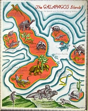 Bild des Verkufers fr The Book of Living Reptiles. Where the Crocodilians, Lizards, Snakes, Turtles and Tortoises are Found. Philadelphia, Lippincott, 1936. Kl.-4to. Mit teils doppelblattgroen u. farbigen Karten u. Illustrationen von Helene Carter. 64 S. Illustrierter Or.-Hlwd., illustrierte Vorstze; ob. Kapital mit Fehlstelle u. fransig, Kanten beschabt u. berzugspapier an einer Ecke mit kl. Fehlstelle, minimal gelockert. zum Verkauf von Jrgen Patzer