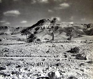 Inseln der Sahara. Durch die Oasen Libyens. Leipzig, Brockhaus, 1957. Fol. Mit Karten auf den Vor...