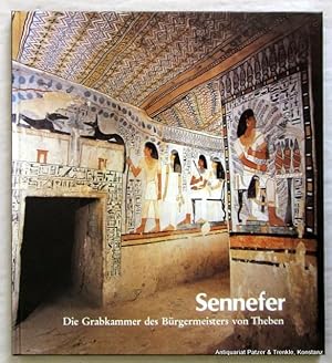 Die Grabkammer des Bürgermeisters von Theben. Ausstellungskatalog Roemer- und Pelizaeus-Museum, H...