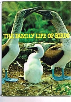 Family Life of Birds