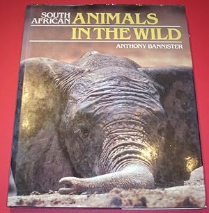 South African Animals in the Wild