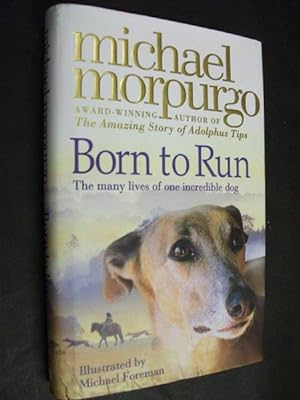 Born to Run: Tha many lives of one incredible dog