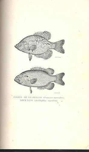 Seller image for Fish culture in ponds and other inland waters. [The farmer's practical library][Pond-culture of the Black Bass -- Spawning Of Black Bass And Care Of Fry -- Black-Bass, Calico-Bass, And Sun-fishes -- Cat-fish Culture -- Carp Culture -- Water For Trout Culture -- Trout Ponds And How To Build Them -- Construction Of A Trout-hatchery -- Taking And Fertilising Trout Eggs -- Trout Hatching, And Care of Fry -- Rearing Young Trout -- The Atlantic Salmon -- Hatching Fishes' Eggs In Jabs -- Culture Of The Yellow Perch -- Rearing Pickerel And Muscallonge -- White Perch, Striped Bass, Smelts And Suckers -- Frog Culture -- Making And Managing An Aquarium -- The Culture And Care Of Goldfish] for sale by Joseph Valles - Books