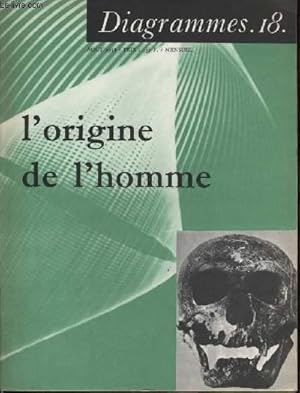 Bild des Verkufers fr Diagramme N 18 - L'origine de l'homme zum Verkauf von Le-Livre
