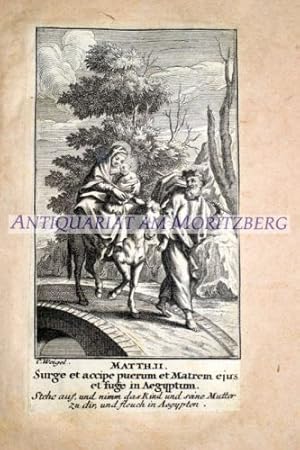 familia et amici in perpetuum meaning familia et amici in perpetuum meaning