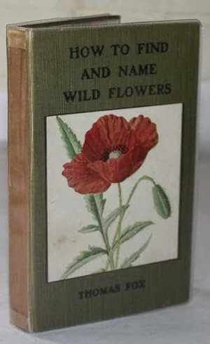 How To Find And Name Wild Flowers