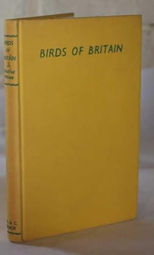 Birds Of Britain