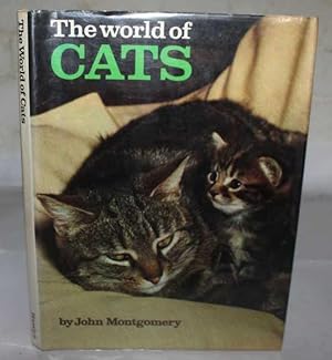 The World Of Cats