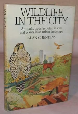 Wildlife In The City