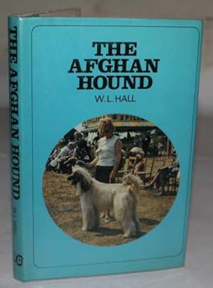 The Afghan Hound