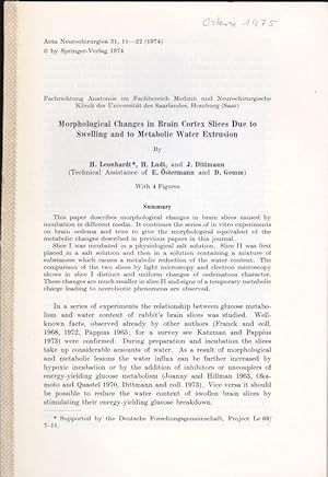 Seller image for Morphological Changes in Brain Cortex due to Swelling and to Metabolic Water Estrusion for sale by Versandantiquariat Karin Dykes