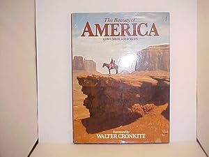 Seller image for The Love of America for sale by Gene The Book Peddler