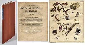 Bild des Verkufers fr Verschiedene Zwiefalter und Kfer mit Hrnern. Nebst drey Kupfertafeln mit Figuren in Farben. zum Verkauf von Mats Rehnstrm Rare Books SVAF, ILAB