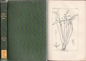 Image du vendeur pour Missouri Botanical Garden. Sixth Annual Report. Scientific Papers: Revision of the North American Species of Sagittaria and Lophotocarpus - By Jared G. Smith // Leitneria Floridana - By William Trelease // Studies on the Dissemination and Leaf Reflexion of Yucca aloifolia and other Species - By Herbert J. Webber // Notes and Observations on new or little known Species - By Jared G. Smith // Notes on the Mound Flora of Atchison County, Missouri - By B. F. Bush mis en vente par Antiquariat Carl Wegner