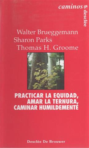 Seller image for Practicar la equidad, amar la ternura, caminar humildemente : un programa para agentes de pastoral for sale by Librera Torres-Espinosa