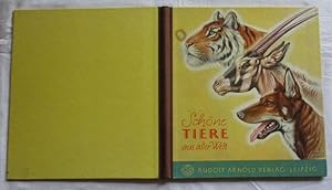 Seller image for Schne Tiere aus aller Welt for sale by Versandhandel fr Sammler